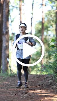 BIB:  <button type="button" onclick="openModal(26568638)" class="btn btn-primary btn-sm float-right" data-toggle="modal" data-target=".modal-high-quality">
                <i class="fa fa-download"></i> Download
                </button>